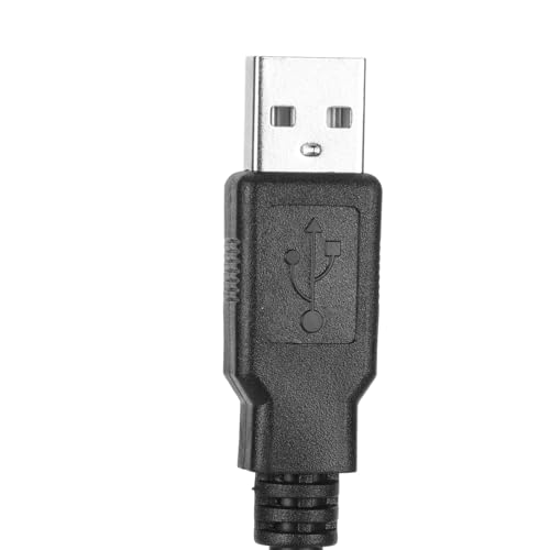 Dioche IEEE 1394 FireWire 6 Pin Female to USB 2.0 Male Charging Cable Adapter, Firewire to USB Power Cable for Digital Cameras, DV Camcorders and Compatible Devices