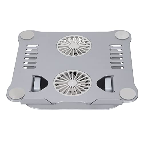 Aluminum Alloy Laptop Stand with 2 Cooling Fans, Foldable Adjustable Laptop Cooling Stand for 10 to 17.3 Inch Laptops, Ergonomic Silver Matte Design with Non - Slip Feet (Space Gray) - color: Space Gray