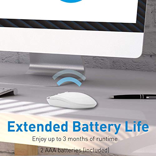 Macally Wireless Bluetooth Numeric Keypad and Wireless Bluetooth Mouse for Mac and PC, Calculate Efficiently