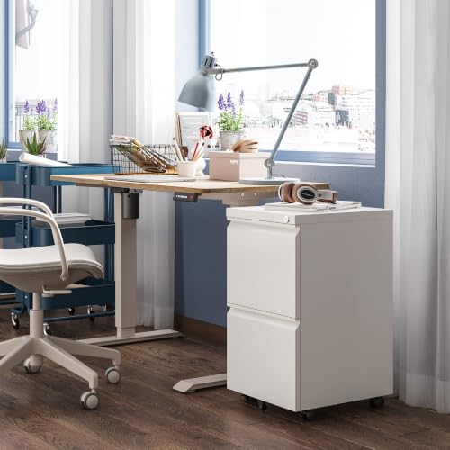 DEVAISE 2 Drawer File Cabinet with Lock for Home Office, Fully Assembled | Under Desk Metal Filing Cabinet with Wheels, Fits Letter/Legal/A4 Size, White - color: White, size: 17"D x 15"W x 27"H