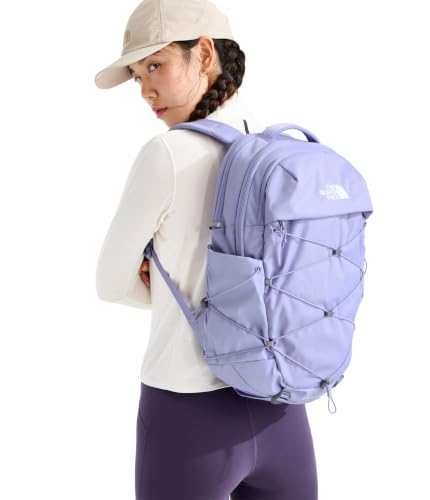 The North Face Borealis Laptop Pack, Pale Plum Lt Hth/Pale Plum, OSFA | Everyday Travel Bag, Laptop Sleeve, Reflective Details - color: Pale Plum Light Heather/Pale Plum