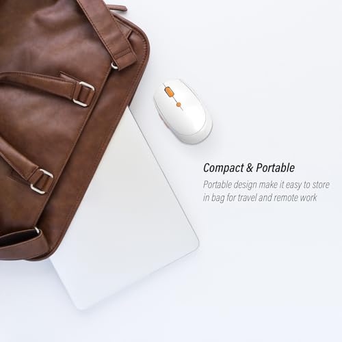 Silent Wireless Mouse for Work & Study, Dual Mode Bluetooth + 2.4G USB Receiver, Rechargeable, Comfortable for Long Hours, Compatible with Laptop/Mac/iPad/Tablet/PC (White)