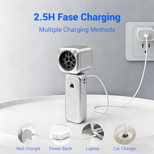 Compressed Air Duster, 2000mAh Battery with Up to 2 Hours of Run Time, 4-in-1 Multifunctional Design, Dust Blower for Computers, Keyboards, Home, Outdoor Use, and Cars(White) - color: White