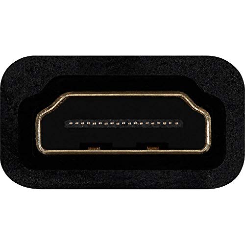 Belkin HDMI to VGA Adapter Kit with 3.5mm Audio, Black | Connects HDMI laptops to VGA projectors and monitors, includes audio output, classroom and conference use