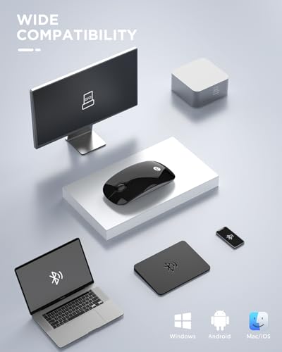 RAPIQUE Bluetooth Wireless Mouse, BT5.1/2.4G Dual Mode, Black | Slim Profile, Two Ways to Connect, Quiet Click, Low Power, 1600 DPI, Portable for MacBook, Laptop, iPad and Surface Pro - color: Black