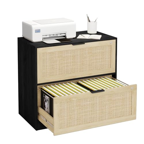 HOPUBUY 2 Drawer File Cabinet with Lock, Printer Stand Lateral | Home Office and School, Wood Rattan Filing Cabinet for Hanging Files/Letter/Legal/A4/F4 Size, Black, 2Drawer, Set1 - color: Black, size: Set1