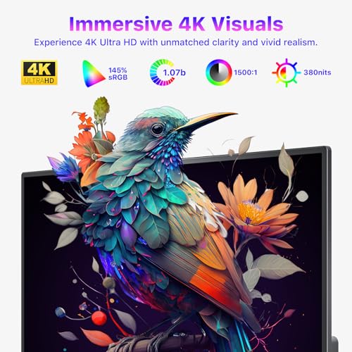 VisionOwl Portable Monitor for Laptop, IPS USB-C HDMI Travel Second Monitor for MacBook Pro Air, PC, PS5, Xbox, Portable Second Screen, Built-in Kickstand, Speakers, VESA Mountable, 15.6 Inch - size: 15.6 inch