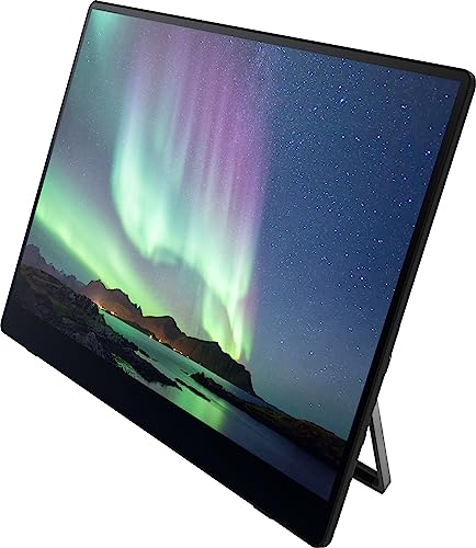 RICOH 150 Portable 15.6" Vivid OLED 350nit Lightweight Display Monitor and Touchscreen w/Dual Speakers - for Laptop, Desktop, Mac, PC - style: RICOH 150