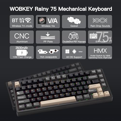 KEEBMONKEY WOBKEY Rainy 75 CNC Aluminum HMX/JWK/Cocoa Switches Triple-Mode Connectivity Mechanical Keyboard with Superior Acoustics, RGB/PP/Gradient Glass/3500mAh/Violet Switch (Standard - Black) - style: Standard - Black