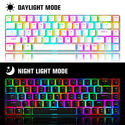 65% Wired Gaming Mechanical Keyboard and Mouse Combo, Mini 68 Keys, RGB Backlight, Lightweight RGB Optical Mouse,Mouse Pad Compatible with PS4,Xbox,PC,Laptop,MAC (White/Blue Switch) - color: white/blue switch