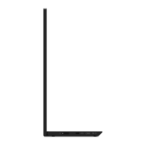 Lenovo ThinkVision M15 15.6" Full HD WLED LCD Monitor - 16:9 - Raven Black
