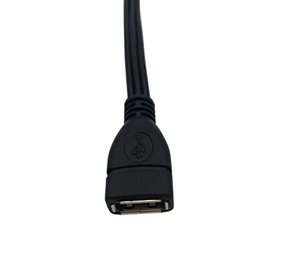 USB to 3 RCA Cable, 8 inch USB 2.0 A Female to 3RCA Male Audio Video Capture Card AV Composite Adapter Cable (USB F/3RCA M)
