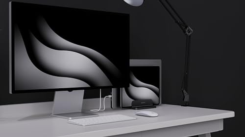 Dual Aluminum Vertical Laptop Stand Organizer, Sturdy Notebook Computer Holder Stand Compatible with New Liquid Retina XDR Apple MacBook Air/Pro/Neo, Mac mini & iPad Pro - Black - color: Black