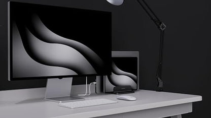Dual Aluminum Vertical Laptop Stand Organizer, Sturdy Notebook Computer Holder Stand Compatible with New Liquid Retina XDR Apple MacBook Air/Pro/Neo, Mac mini & iPad Pro - Black - color: Black