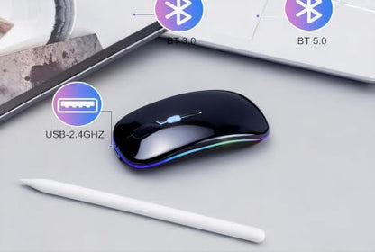 Wireless Bluetooth Mouse Rechargeable Long Lasting Dual Mode - BT 5.2 & 2.4G Silent RGB LED Mice, Slim Portable Ergonomic Mouse for Laptop/PC/Tablet/MacBook/iPad/Apple Devices(Matte Black) - color: Matte Black