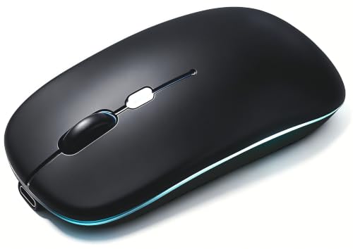 Wireless Bluetooth Mouse Rechargeable Long Lasting Dual Mode - BT 5.2 & 2.4G Silent RGB LED Mice, Slim Portable Ergonomic Mouse for Laptop/PC/Tablet/MacBook/iPad/Apple Devices(Matte Black) - color: Matte Black