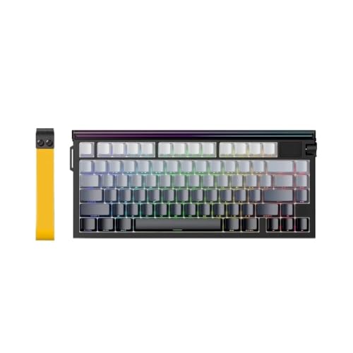 R85HE Magnetic Axis Gaming Wire Keyboard 8KHz Rate 0.005mm RT Precision Adjustable 5 Layer Soundproof Filling RGB(R85 HE-Moonlit Night) - color: R85 HE-Moonlit night