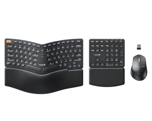 ProtoArc EKM04 2.4GHz Wireless Ergonomic Keyboard Mouse Combo - Black | Separate Numeric Keypad, USB Receiver, Split Design, Hard Wrist Rest, Rechargeable, for Windows Desktop/PC/Laptop