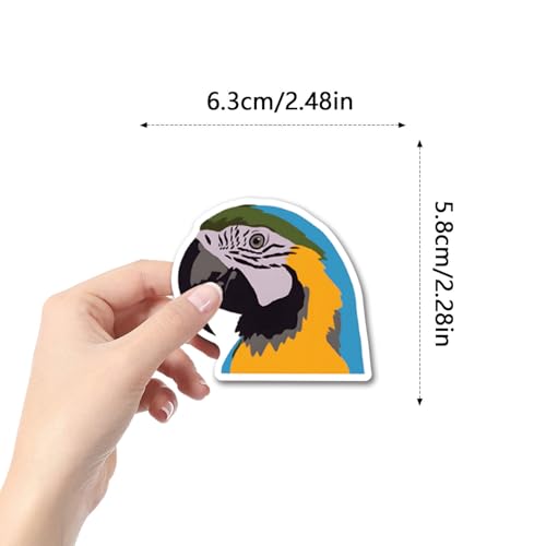 50 Pcs Multicolor Cute Cartoon Parrot Stickers | Colorful parrot cartoon waterproof vinyl decals for laptops, water bottles, uggage, phone cases, and DIY crafts. - style: J-Style05
