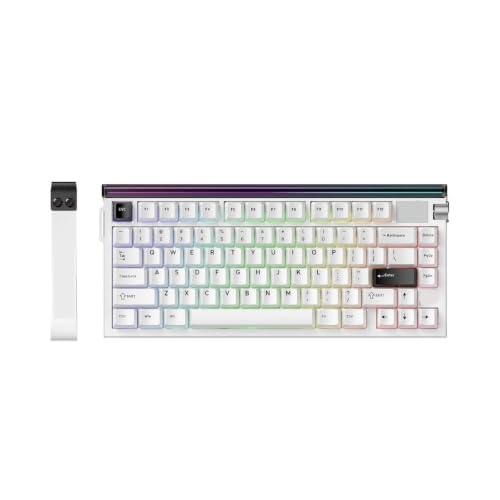 R85HE Magnetic Axis Gaming Wire Keyboard 8KHz Rate 0.005mm RT Precision Adjustable 5 Layer Soundproof Filling RGB(R85 HE-White) - color: R85 HE-White