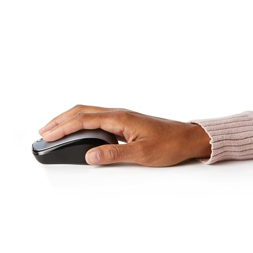 Amazon Basics 2.4 GHz Wireless Optical Computer Mouse with USB Nano Receiver, Portable, Silver - color: Silver, style: 1-Pack