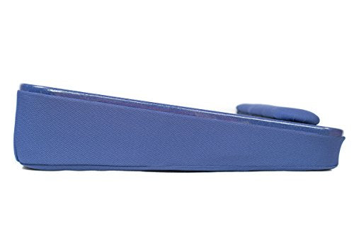 All-Purpose Lap Desk Color: Blue