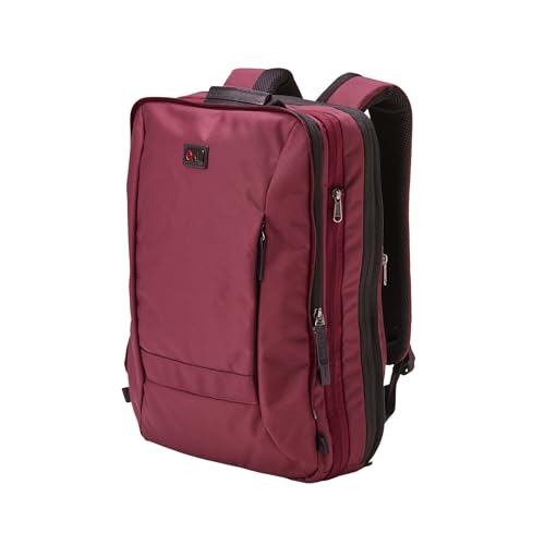 Trilogy Weekender Daypack I Opens like a suitcase, for easy packing. Expands into a 22-liter weekender. Hidden under-bag sling holds yoga mat, sleeping bag, and doubles as a rear cover (Zinfandel) - color: Red