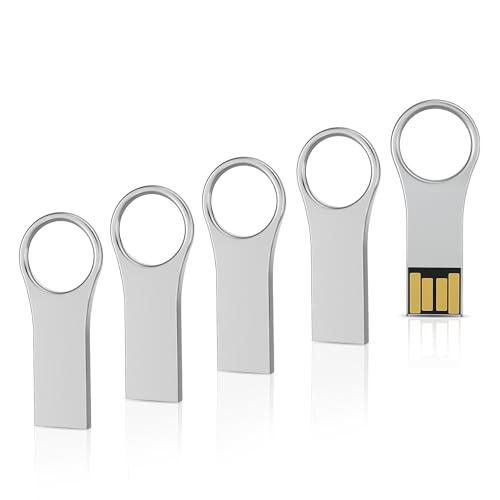 RAOYI 5 Pack 64GB Metal Key Shape USB Flash Drive, USB 2.0 Memory Stick Thumb Drives Jump Drive for PC Laptop Desktop Computer-Silver - color: silver 5 pack, size: 64GB-2.0