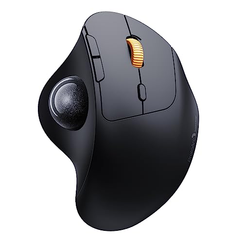 ProtoArc Wireless Trackball Mouse, EM04 Ergonomic Bluetooth Rollerball Rechargeable Computer Laptop Thumb Control Mouse, Compatible with PC, iPad, Mac, Windows-Gray Ball