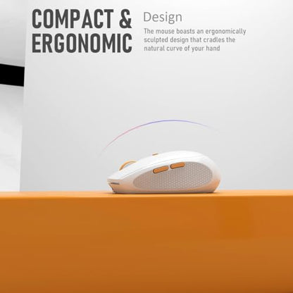 Silent Wireless Mouse for Work & Study, Dual Mode Bluetooth + 2.4G USB Receiver, Rechargeable, Comfortable for Long Hours, Compatible with Laptop/Mac/iPad/Tablet/PC (White)