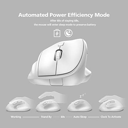 Ergonomic Wireless Mouse 2025 New Updated Smaller with USB-A Receiver for PC Computer, Laptop and Desktop, Ergo Mouse Vertical with Silent Clicks Long Battery Life, Up to 1600 DPI, White - color: White, size: USB Wireless