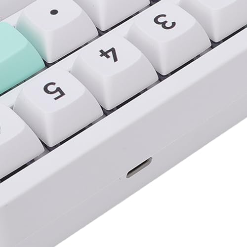 Asixxsix Number Pad, RGB 15 Keys Hot Swappable Wireless Numeric Keypad Macro Programmable Rechargeable Number Keypad with 3 Mode USB C 2.4G Bluetooth for Laptop Desktop Computer PC (White Green) - color: White Green