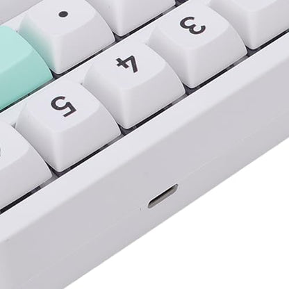 Asixxsix Number Pad, RGB 15 Keys Hot Swappable Wireless Numeric Keypad Macro Programmable Rechargeable Number Keypad with 3 Mode USB C 2.4G Bluetooth for Laptop Desktop Computer PC (White Green) - color: White Green
