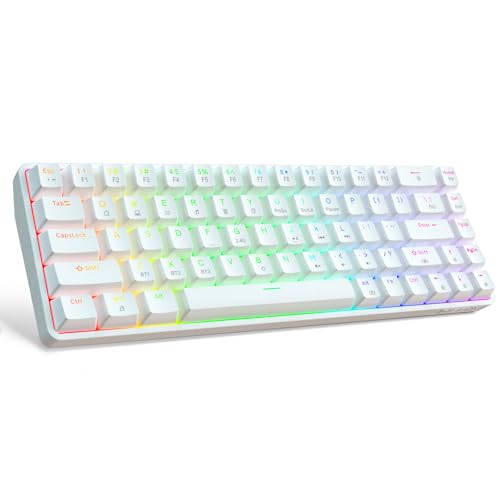 DIERYA DK68 60% Wireless Mechanical Gaming Keyboard, 3-Mode, Bluetooth 5.0/2.4G/USB-C, RGB Backlit, 68-Key Compact Mini for Windows, Mac, Linux - Clicky Blue Switch - White - color: White/Blue Switch, size: Wireless