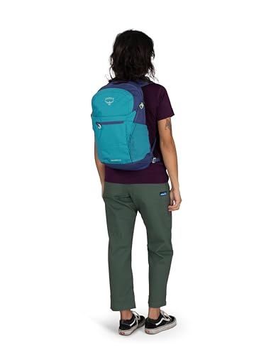 Osprey Daylite Plus Commuter Backpack - Lightweight, Everyday Pack with Laptop Sleeve and Water Bottle Pockets - Ideal for Work, School, and Travel with Versatile Storage, Green Belt/Green Canopy - color: Green Belt/Green Canopy