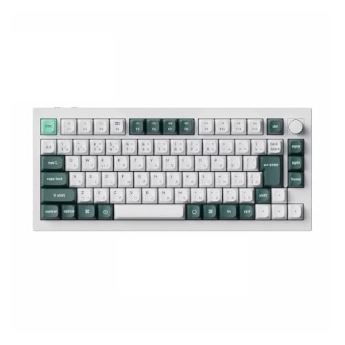 Q1 HE ISO Layout Custom Mechanical Keyboard | ISO Layout, QMK Wireless Programmable, Magnetic Adjustable Switches, Dynamic RGB Backlight(JIS ISO(White)) - color: JIS ISO(White)