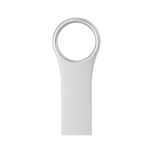 RAOYI 64GB USB 2.0 Flash Drive Memory Stick Metal Key Thumb Drive Jump Drive for PC Laptop Desktop -Silver - color: silver 1 pack, size: 64GB-2.0