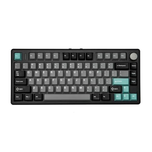 TH80 V2 75% ANSI US Layout Gasket Tri-Mode Wireless Mechanical Gaming Keyboard with 8000mAh Battey & RGB Backlight(Sea Salt Silent V2,Black) - color: Black, size: Sea Salt Silent V2
