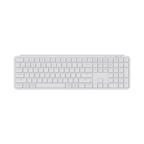 Keychron B6 Pro Ultra-Thin Wireless Keyboard, Full-Size ZMK with Numeric Keypad Quiet Typing, 2.4 GHz/Bluetooth 5.2/Wired Connection Long Battery Life, Compatible with Mac Windows Linux - Ivory White - color: Ivory White