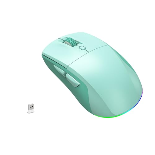 LeadsaiL Bluetooth Wireless Mouse, Rechargeable Dual Mode Computer Mouse with Side Buttons, Ergonomic Design, Silent Click, Adjustable DPI 800-4000, Compatible with MacBook, Windows Computers/Laptop