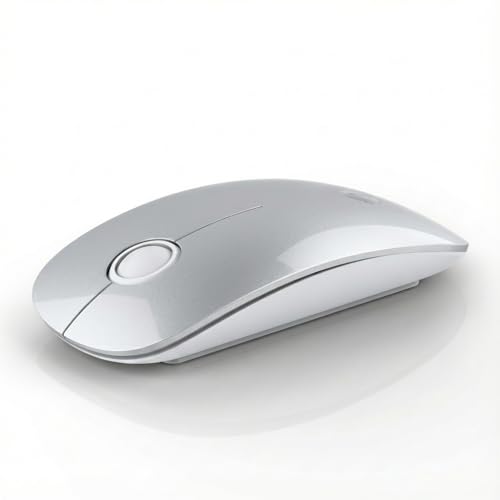 RAPIQUE Bluetooth Wireless Mouse, BT5.1/2.4G Dual Mode, Silver | Slim Profile, Two Ways to Connect, Quiet Click, Low Power, 1600 DPI, Portable for MacBook, Laptop, iPad and Chromebook - color: Silver