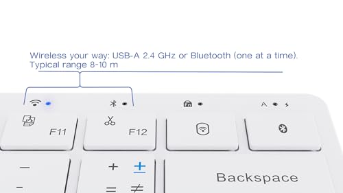 Mathematical Keyboard — Write Math & Equations Faster on Windows PC | 55 Symbols & Shortcuts for Any Editor or Browser | 2.4G Wireless + Bluetooth | USB-C Rechargeable | US Layout |