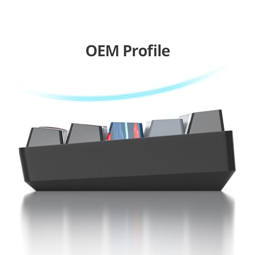 60% Mechanical Keyboard Black and Grey, Compact Gaming RGB Backlit, 61 Keys Mini, USB Wired for Windows Mac Laptop PC (61 Dolch/Red Switches) - color: 61 Dolch/Red Switch