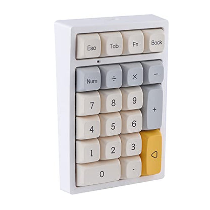 EPOMAKER TH21 21 Keys Hot Swap 2.4Ghz/Bluetooth 5.0/Wired Programmable RGB Mechanical Gaming Numpad with XDA Profile PBT Keycaps for Win/Mac (Geometry Grey, Gateron Pro Red)