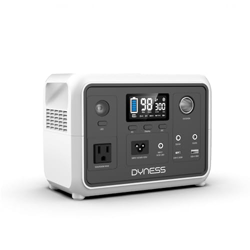 DYNESS Portable Power Station 300W, 256Wh Solar Generator with 110V Pure Sine Wave AC Outlet, LiFePO4 Battery for Camping, Home Backup, RV, Outdoor Emergency (Solar Panel Optional) - size: 256Wh 300W