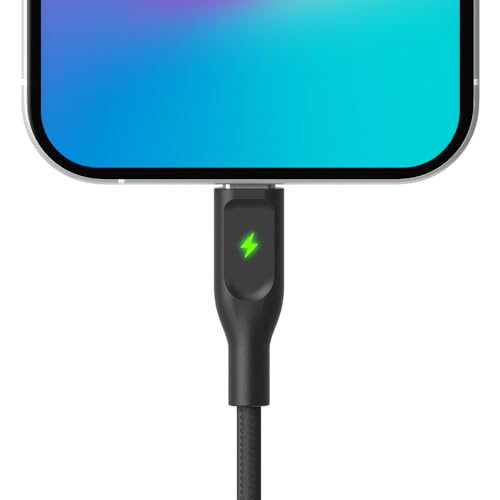 POUT ElectroBoost Thunderbolt LED 100W PD 3.0 USB-C to USB-C Cable – Nylon-Braided Fast Charging & Data Cable with Real-Time LED Status Indicator, E-Marker Chip, 480Mbps Transfer – 4ft, Phantom Black - color: Phantom Black