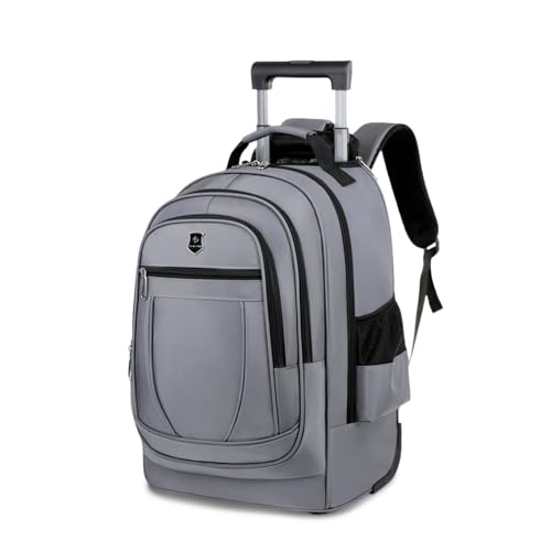 FANDARE 35L Rolling Laptop Backpack 2-in-1 Trolley Convertible Luggage Backpack with Wheels Travel Daypacks Multi-Functional Carry-On for Business Travel Trip Men Outdoor Urban Backpacks Grey - color: Grey