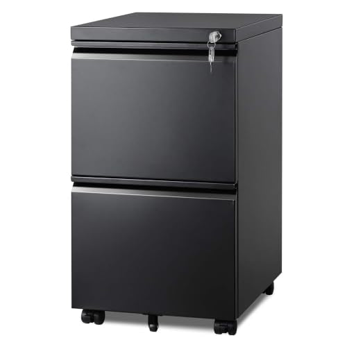 DEVAISE 2 Drawer Mobile File Cabinet, Fully Assembled | Under Desk Metal Filing Cabinet with Lock for Home Office, Fits Letter/Legal/A4 Size, Black - color: Black, size: 17"D x 15"W x 27"H