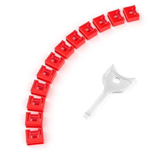 12-Pack USB-A Port Locks with 1 Key,Laptop Security Locks for Physical Security and Malware Protection, Removable USB-A Port Locks for PC Laptops, Protecting Data and Information Security (Red) - color: Red, size: 12+1