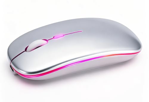 Wireless Bluetooth Mouse Rechargeable Long Lasting Dual Mode - BT 5.2 & 2.4G Silent RGB LED Mice, Slim Portable Ergonomic Mouse for Laptop/PC/Tablet/MacBook/iPad/Apple Devices (Silver) - color: Silver
